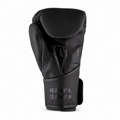 Guantes de Box Everlast Legacy | Espuma Multicapa | Velcro